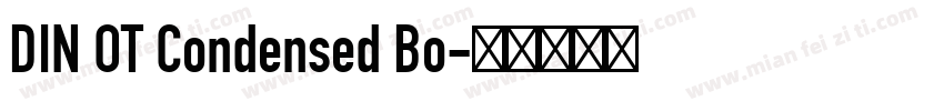 DIN OT Condensed Bo字体转换